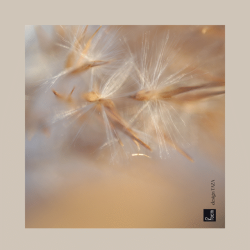 Poem huivit ENNAKKOTILAUS